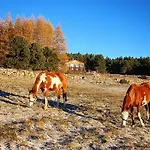 Ranch Le Serpolet