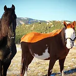 Ranch Le Serpolet Bed & Breakfast 3*