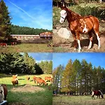 Ranch Le Serpolet