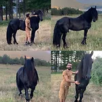 Ranch Le Serpolet Bed & Breakfast Les Angles (Pyrenees-Orientales)