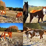 Bed & Breakfast Ranch Le Serpolet Les Angles (Pyrenees-Orientales)