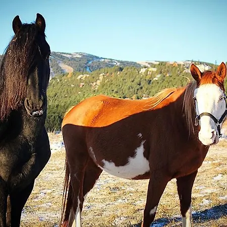 Le Serpolet Couette-café 3*