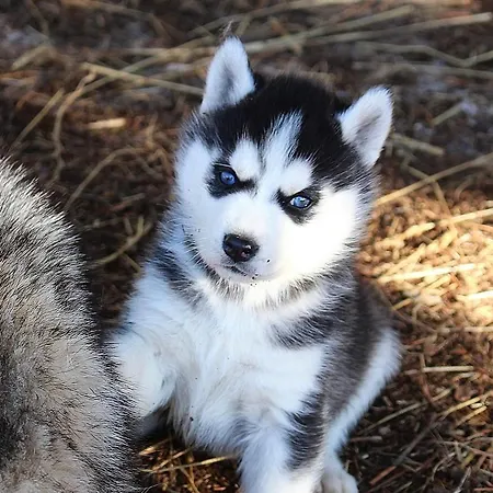 Ranch Le Serpolet Bed and Breakfast