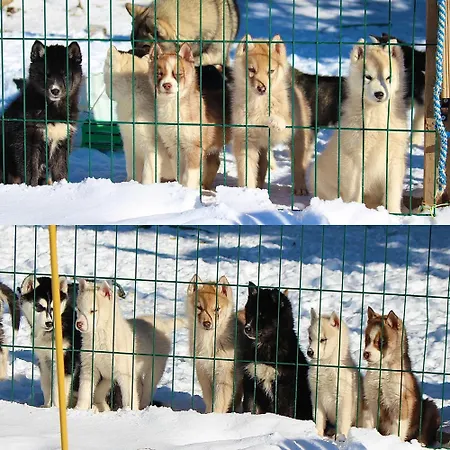 Couette-café Le Serpolet Les Angles (Pyrenees-Orientales)