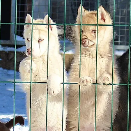 Le Serpolet Les Angles (Pyrenees-Orientales)