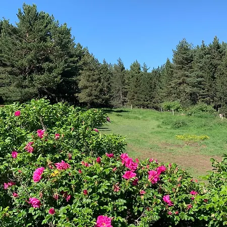 Ranch Le Serpolet Alojamento de Acomodação e Pequeno-almoço Les Angles (Pyrenees-Orientales)